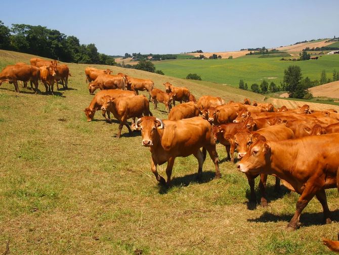 Ferme “Val les Bucherons”.